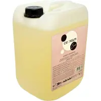 Inebrya shampoo energético 10 litros