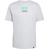 Adidas Camisa funcionais 'Mercedes-AMG Petronas Formula 1 Team' aqua / cinzento claro / preto