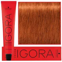 Schwarzkopf IGORA ROYAL 7-77 60 ml