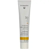 Dr. Hauschka Tinted Face SPF Sun Cream SPF30 40 ml