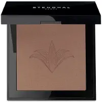 Stendhal Perfecting Compact Powder 150-Santal