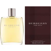 Burberry Eau De Toilette 100ml Vapo