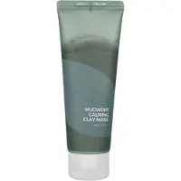 Isntree Máscara de Argila Calmante Artemísia - 100ml