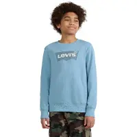 Levi's Kids Sweatshirt azul pombo / azul claro / branco