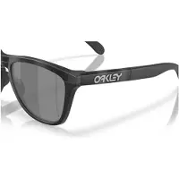 Oakley óculos De Sol Polarizados Frogskins Range Xl