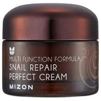 Mizon Crema viso con filtrato di secrezione di lumaca 60% per pelle problematica (Snail Repair Perfect Cream) 50 ml