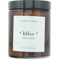 The Olphactory Bliss Foglie Verdi, Candela Profumata, 135 g