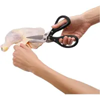 Chefn Tesoura Para Aves