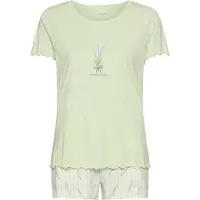 LASCANA Calções de pijama bege claro / verde / verde pastel / lavanda