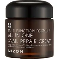 Mizon All In One Creme regenerador para a pele com 92% de filtrado de lodo de caracol - 120ml