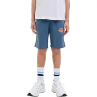 Jack & Jones Short De Treino Logo 2 Col Gms