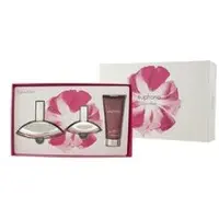 Calvin Klein Euphoria Conjunto eau de parfum 100 ml, Euphoria eau de parfum 30 ml e loção de 100 ml