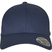 Flexfit Boné 110 Curved Visor Snapback