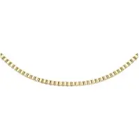 Daniel Wellington Corrente de Bronze Venezia Elan DW00400554/7 - Comprimento: 49 cm