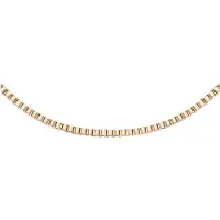Daniel Wellington Corrente de Bronze Venezia Elan DW00400553/6 - Comprimento: 44 cm
