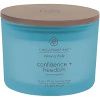Yankee candle Vela Confiança e Liberdade 312,0 g