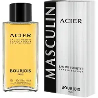 Bourjois Masculin Acier Edt 100ml
