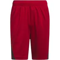 Adidas Calções de Basquetebol 3-Stripes Legends