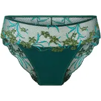 Lingadore Cueca verde escuro / mistura de cores