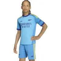 Adidas Camiseta De Manga Curta Júnior Guarda-redes Visitante Arsenal Fc 26/27 Jersey