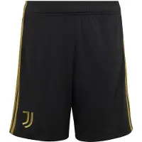 Adidas Calças de desporto 'Juventus Turin 26/27 Thirds' ouro / preto