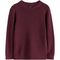 Next Pullover borgonha