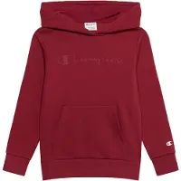 Champion Sweatshirt arando