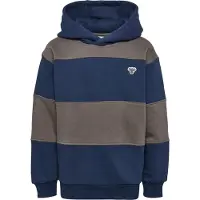 Hummel Moletom Com Capuz Loose Stripe Bee