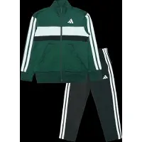 Adidas Fato de treino 'Seasonal Essentials Tiberio' verde escuro / preto / branco