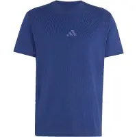 Adidas Camisa funcionais azul