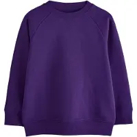 Next Sweatshirt roxo escuro