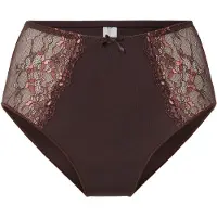 Lingadore Cueca acastanhado