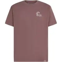 O'Neill Camisa cinzento / malva