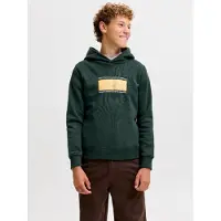 Jack & jones Junior Sweatshirt 'JJBuster' amarelo / verde escuro