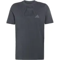 Adidas Camisa funcionais 'Mountain' cinzento / antracite