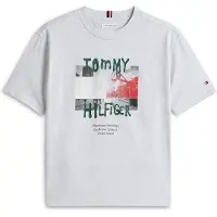 Tommy Hilfiger Camisola acinzentado / verde escuro / vermelho / preto
