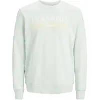 Jack & Jones Sweatshirt 'JORPalma' amarelo claro / verde pastel / branco