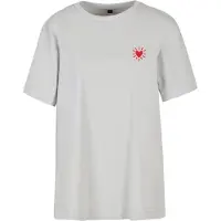 Urban Classics Camisa cinzento / vermelho