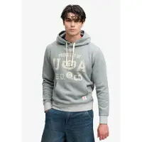 Superdry para homem. M2014562A Moletom com capuz ESS cinza (XXL), Casual, Algodão