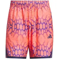 Adidas CALÇÕES CRAZYLITE GRAPHIC