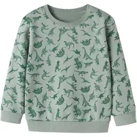 Name it Sweatshirt 'NMMVIFelix' menta / verde escuro