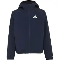 Adidas Jaqueta Softshell Terrex Multi