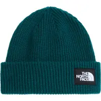 The North Face Gorro SALTY LINED BEANIE homens - Verde - Único