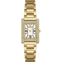 Emporio Armani Relógios analógicos ouro / branco