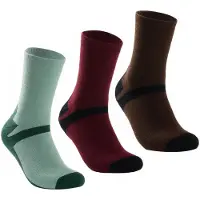 Regatta Meias Curtas Outdoor Lifestyle 3 Pares