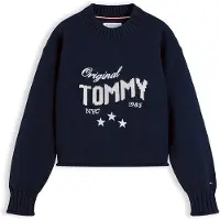 Tommy Hilfiger Pullover navy / branco