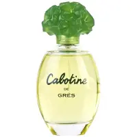 Perfumes De Nicho & Outros Brioni perfume Brioni Eau de Parfum EDP 150 ml