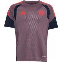 Adidas Camisa funcionais 'FC Bayern München 26/27' navy / roxo claro / vermelho