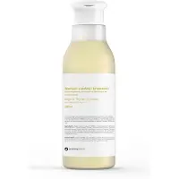 Botanicapharma Shampoo antiforfora e grasso 250 ml — Shampoo