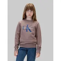 Calvin Klein Jeans Sweatshirt navy / castanho / branco